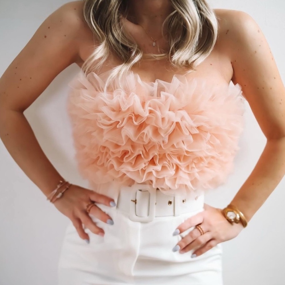 ZARA Tulle Crop Top Pink